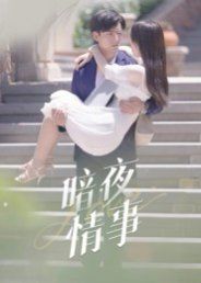 《暗夜情事(2025)》高清海报 免费在线观看