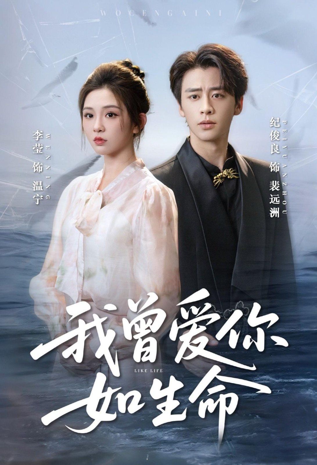 《我曾爱你如生命（宁夜向远）(2025)》高清海报 免费在线观看