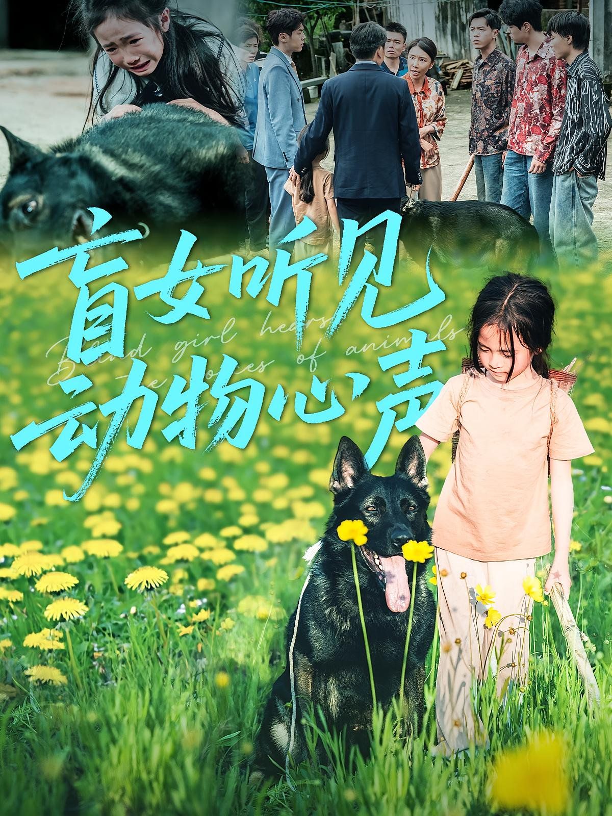 《盲女听见动物心声(2025)》高清海报 免费在线观看