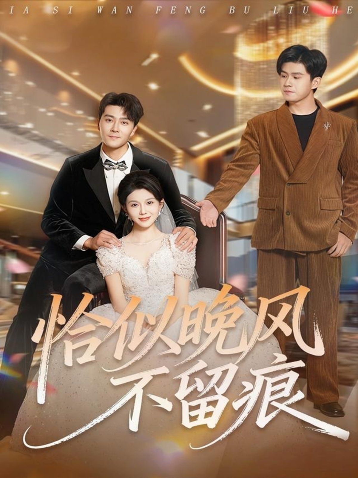 《恰似晚风不留痕(2025)》高清海报 免费在线观看