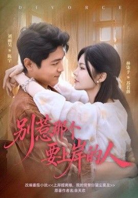 《别惹那个要上岸的人(2025)》高清海报 免费在线观看