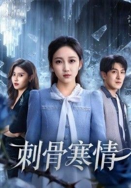 《刺骨寒情(2025)》高清海报 免费在线观看