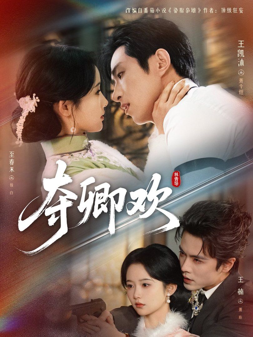 《夺卿欢(2026)》高清海报 免费在线观看