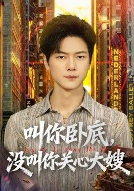 《叫你卧底，没叫你关心大嫂(2025)》高清海报 免费在线观看