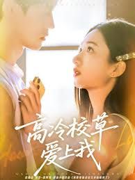 《高冷校草爱上我(2026)》高清海报 免费在线观看