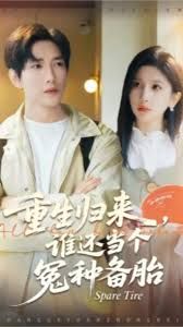 《重生归来谁还当个冤种备胎(2025)》高清海报 免费在线观看