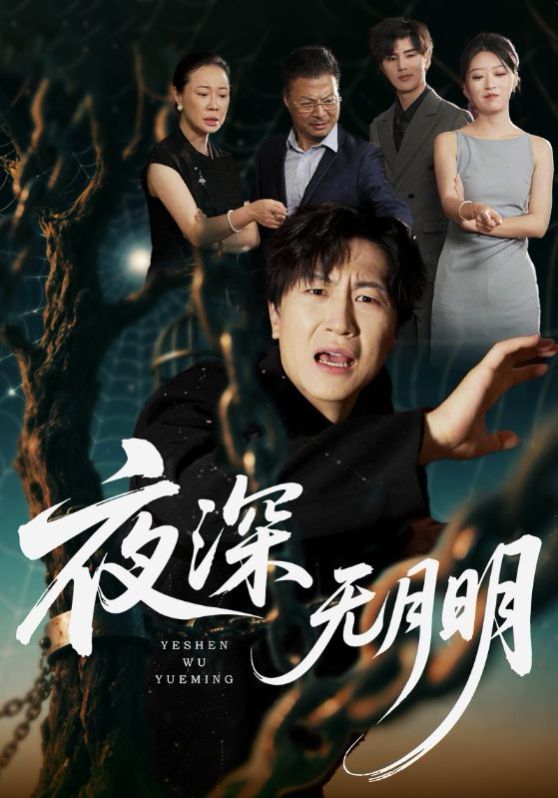 《夜深无月明(2025)》高清海报 免费在线观看