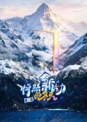 《怦然新动的冬天第二季(2026)》高清海报 免费在线观看
