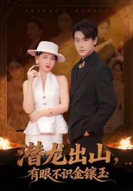 《潜龙出山有眼不识金镶玉(2026)》高清海报 免费在线观看