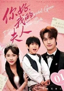 《顾总，我才是你的夫人（你好，我的夫人）(2026)》高清海报 免费在线观看