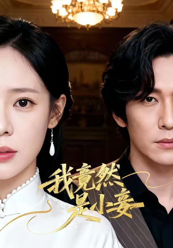 《我竟然是小妾(2026)》高清海报 免费在线观看