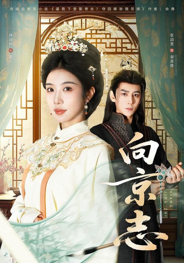 《向京志(2026)》高清海报 免费在线观看