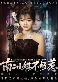 《南二小姐不好惹(2026)》高清海报 免费在线观看