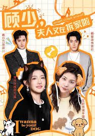 《顾少，夫人又在拆家啦(2026)》高清海报 免费在线观看