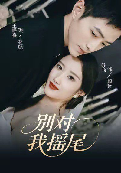 《别对我摇尾(2025)》高清海报 免费在线观看