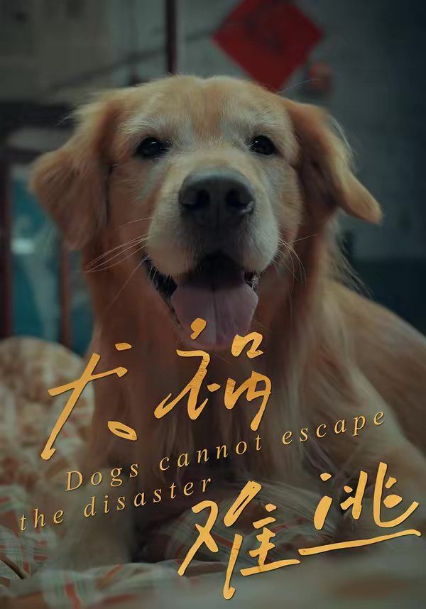 《犬祸难逃(2026)》高清海报 免费在线观看