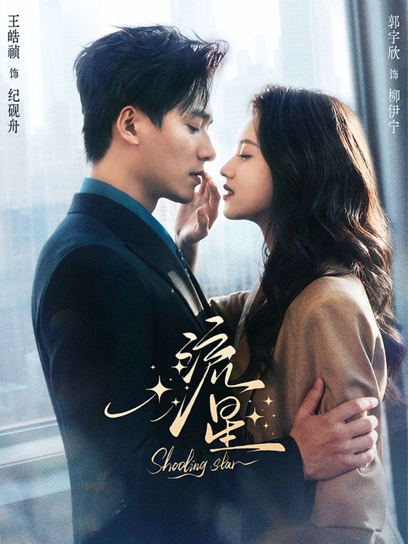 《流星（2026）(2026)》高清海报 免费在线观看