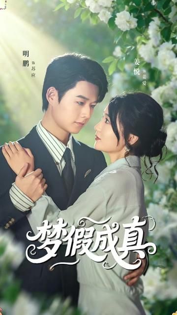 《梦假成真(2025)》高清海报 免费在线观看
