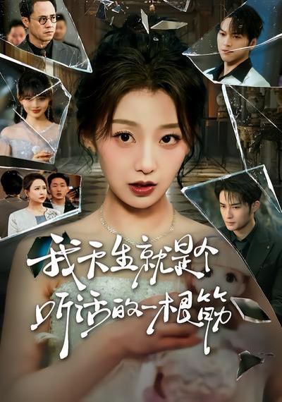 《我天生就是个听话的一根筋(2026)》高清海报 免费在线观看