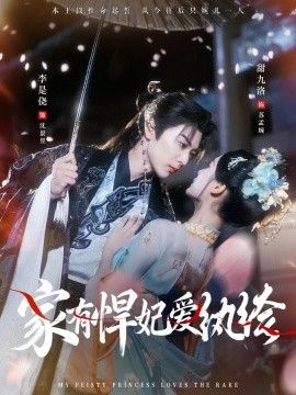 《家有悍妃爱纨绔(2026)》高清海报 免费在线观看