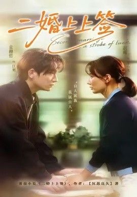 《二婚上上签(2026)》高清海报 免费在线观看