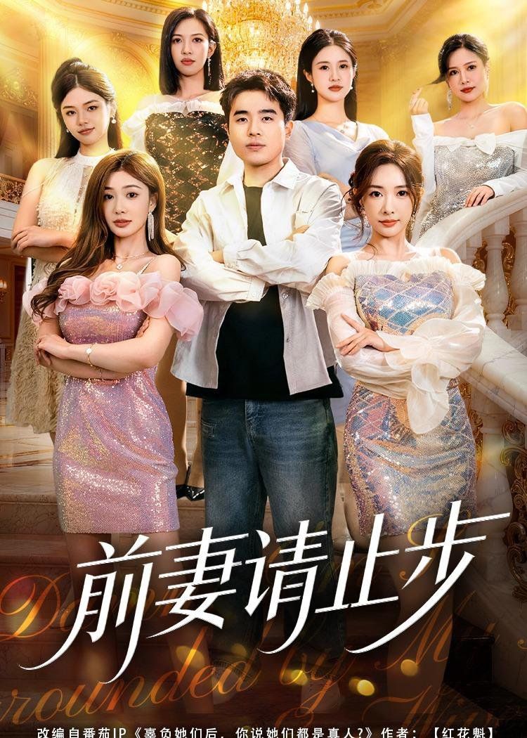 《前妻请止步(2026)》高清海报 免费在线观看
