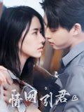 《情网引君(2025)》高清海报 免费在线观看