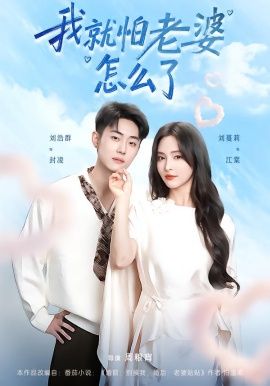 《我就怕老婆怎么了(2026)》高清海报 免费在线观看