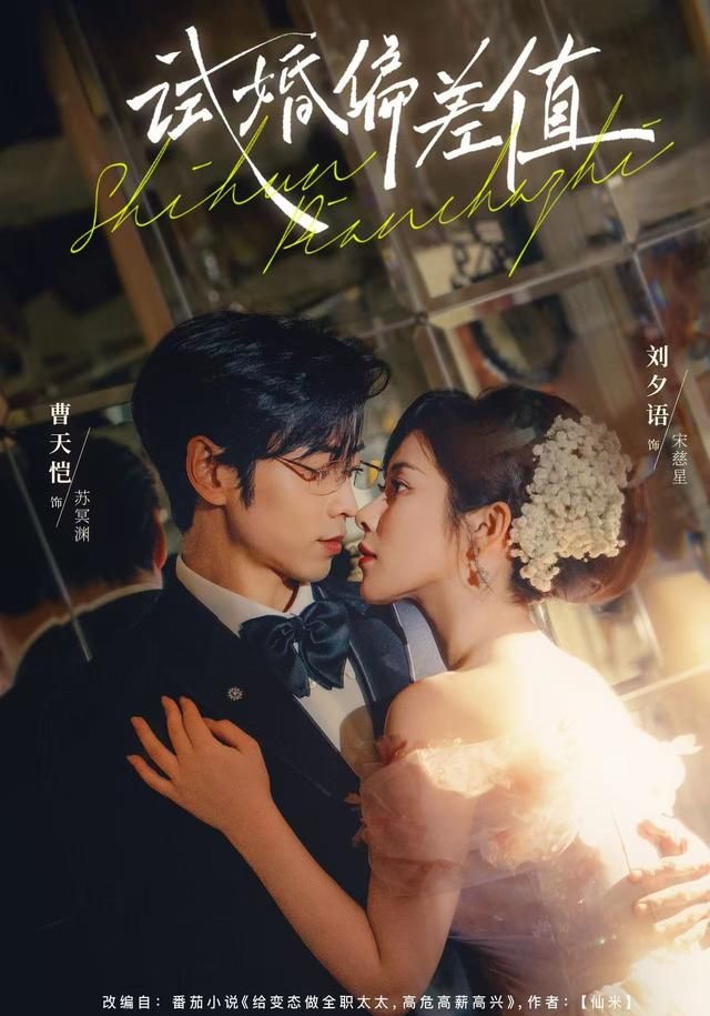 《试婚偏差值(2026)》高清海报 免费在线观看