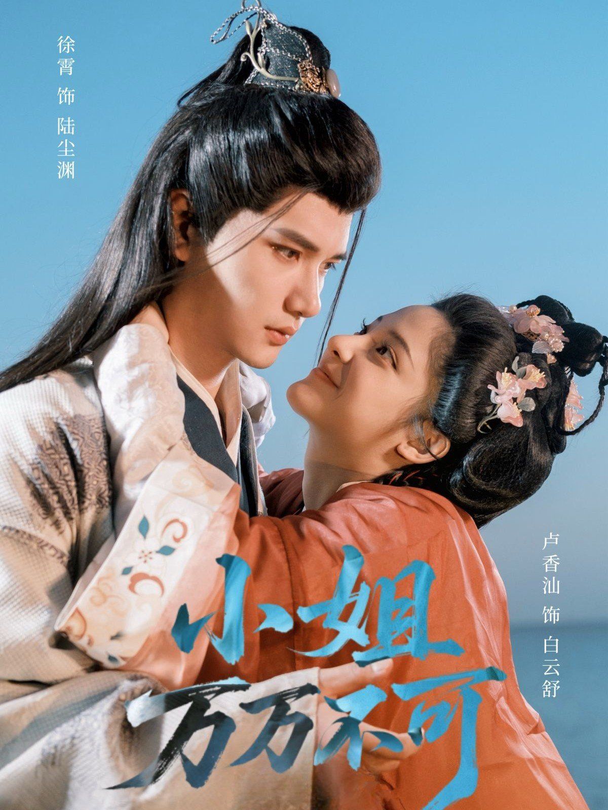 《小姐万万不可(2025)》高清海报 免费在线观看