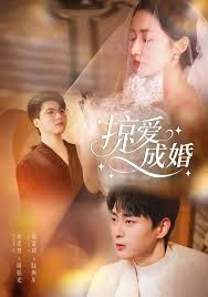 《掠爱成婚(2025)》高清海报 免费在线观看