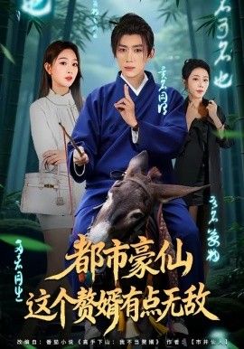 《都市豪仙，这个赘婿有点无敌(2026)》高清海报 免费在线观看