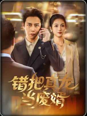 《错把真龙当废婿(2025)》高清海报 免费在线观看