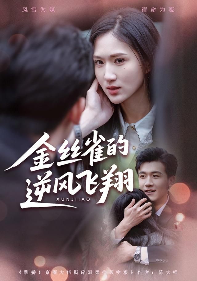 《金丝雀的逆风飞翔(2026)》高清海报 免费在线观看