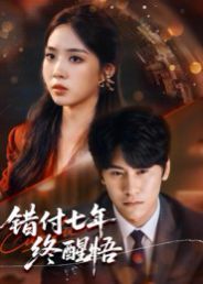 《错付七年终醒悟(2025)》高清海报 免费在线观看