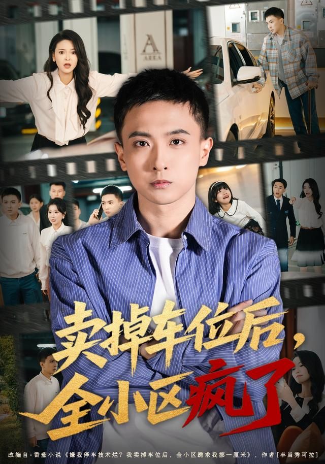 《卖掉车位后，全小区疯了(2026)》高清海报 免费在线观看