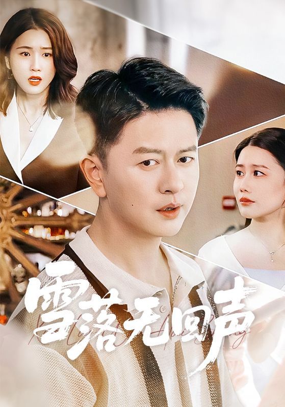 《雪落无回声(2026)》高清海报 免费在线观看
