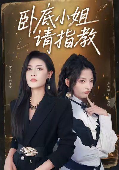 《卧底小姐请指教(2025)》高清海报 免费在线观看