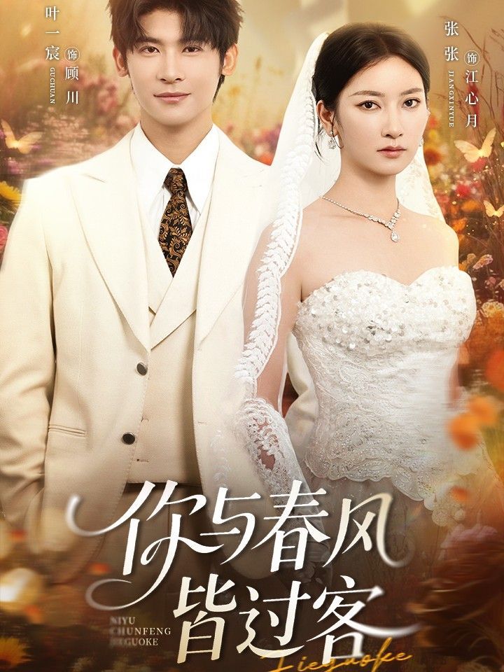 《你与春风皆过客(2025)》高清海报 免费在线观看