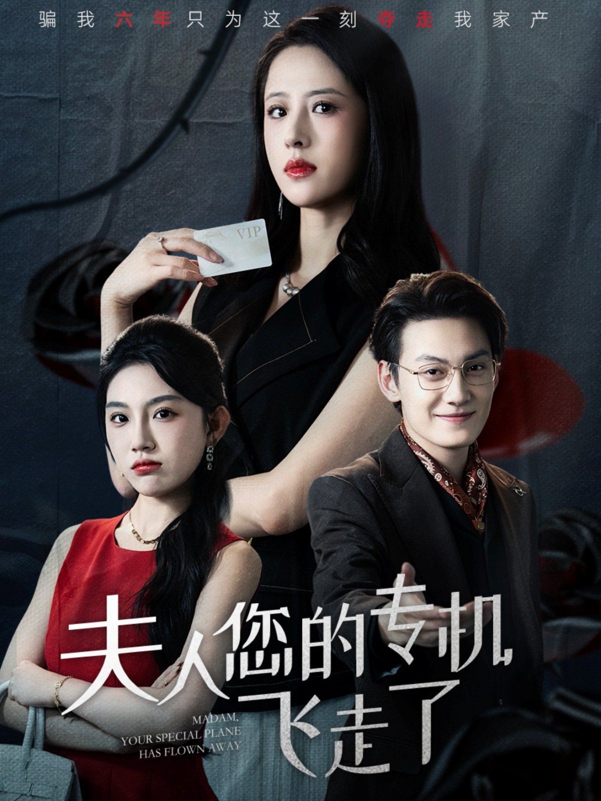 《夫人您的专机飞走了(2025)》高清海报 免费在线观看