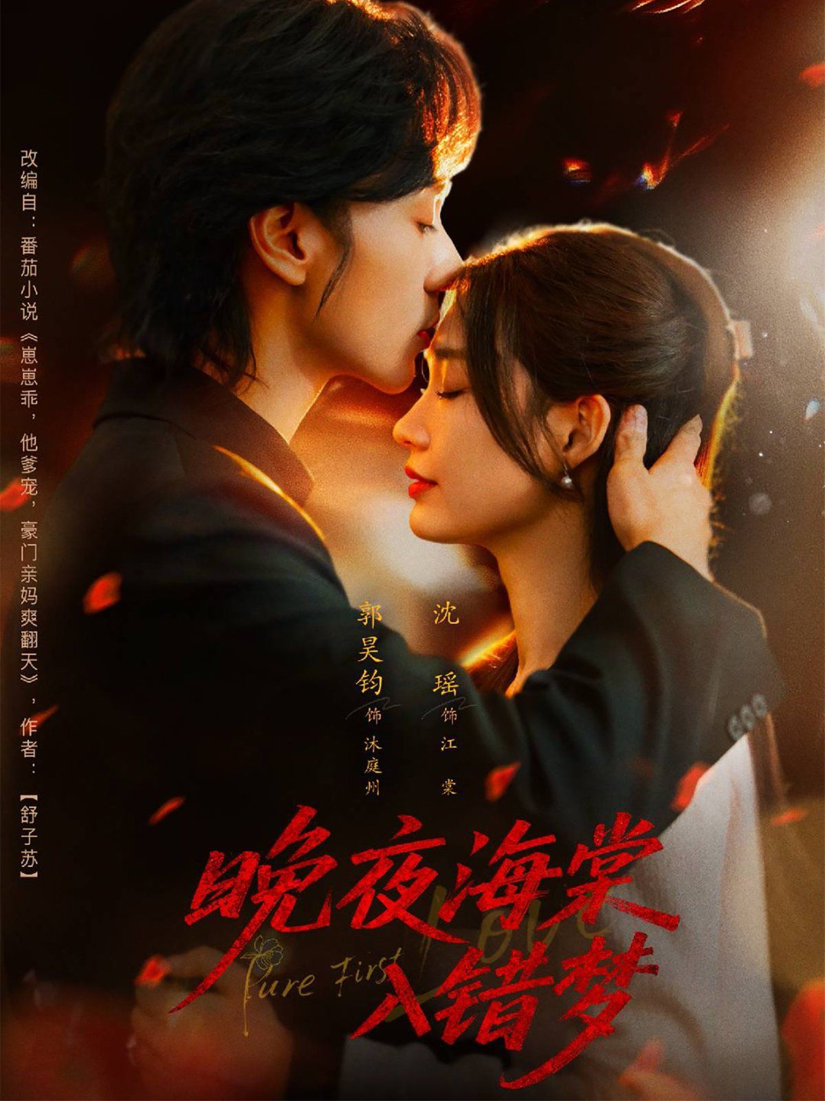 《晚夜海棠入错梦(2025)》高清海报 免费在线观看