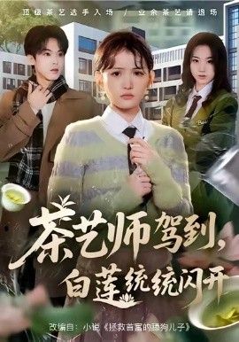 《茶艺师驾到白莲统统闪开(2026)》高清海报 免费在线观看