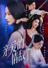 《亲爱的情敌(2025)》高清海报 免费在线观看