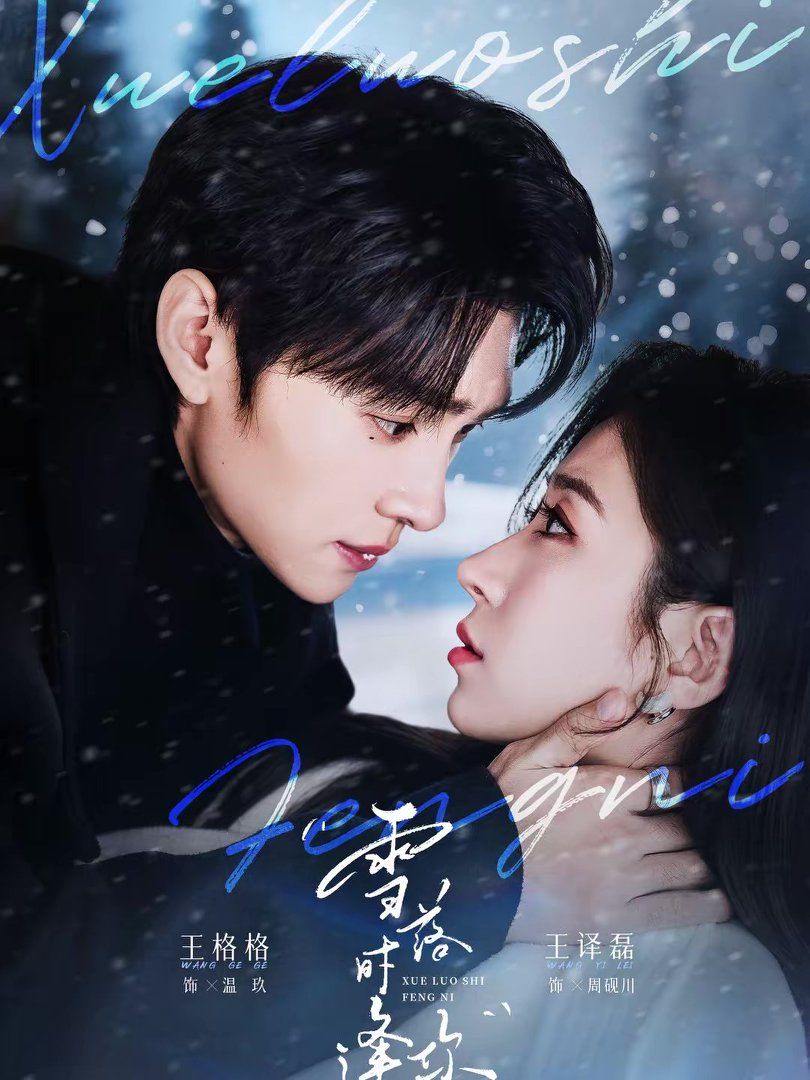 《雪落时逢你(2026)》高清海报 免费在线观看