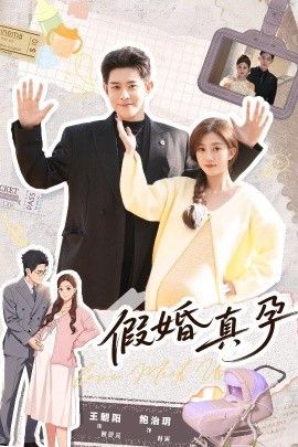 《假婚真孕(2026)》高清海报 免费在线观看