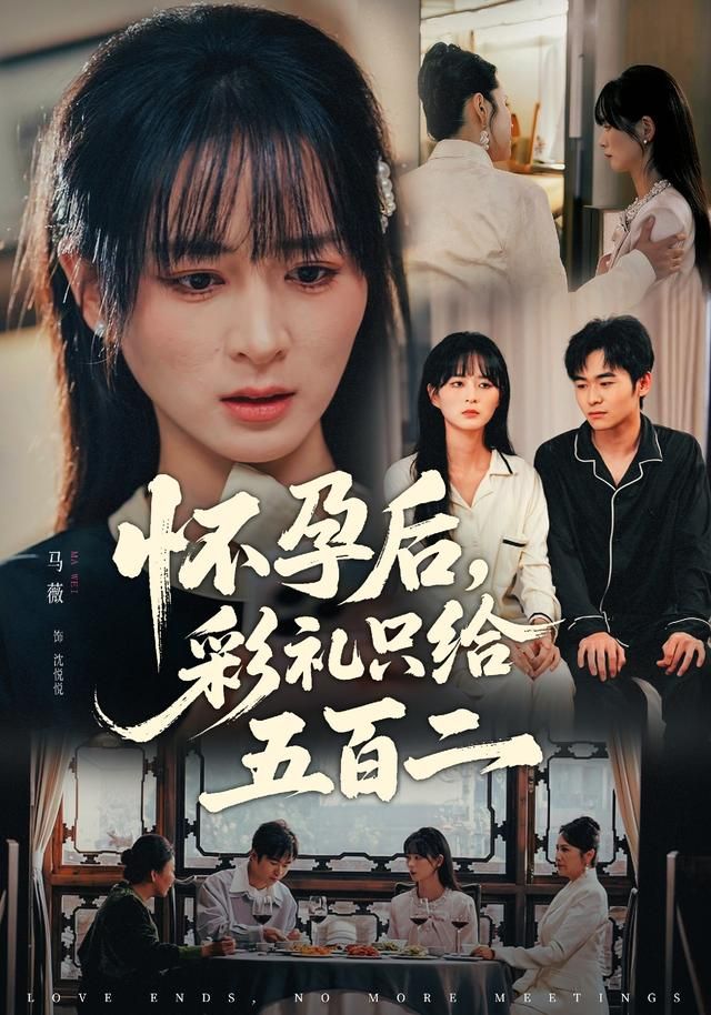 《怀孕后，彩礼只给五百二(2026)》高清海报 免费在线观看