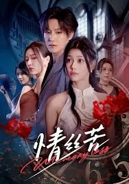 《情丝苦(2026)》高清海报 免费在线观看