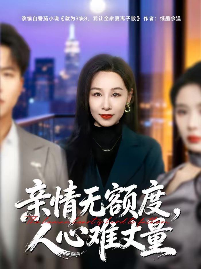 《亲情无额度，人心难丈量(2026)》高清海报 免费在线观看