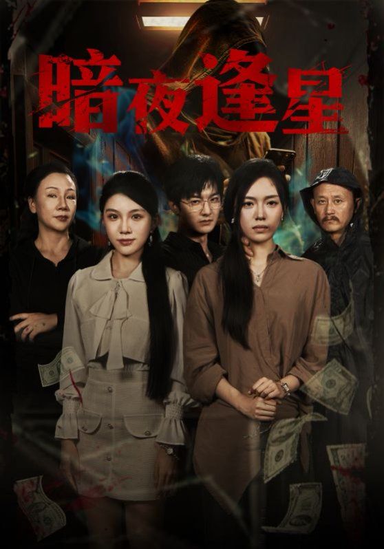 《暗夜逢星(2025)》高清海报 免费在线观看