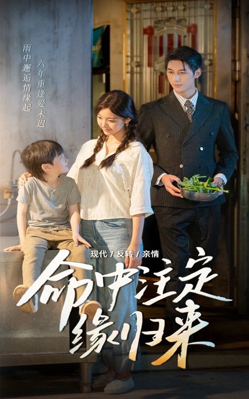 《命中注定缘归来(2025)》高清海报 免费在线观看